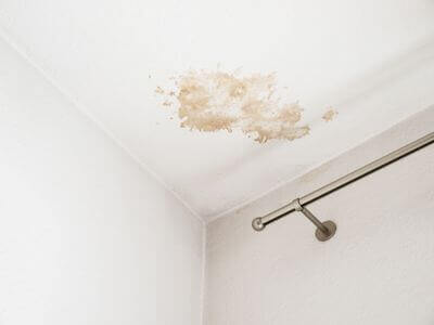 About water damage cleanup - ceiling water damage repair experts in Wayland