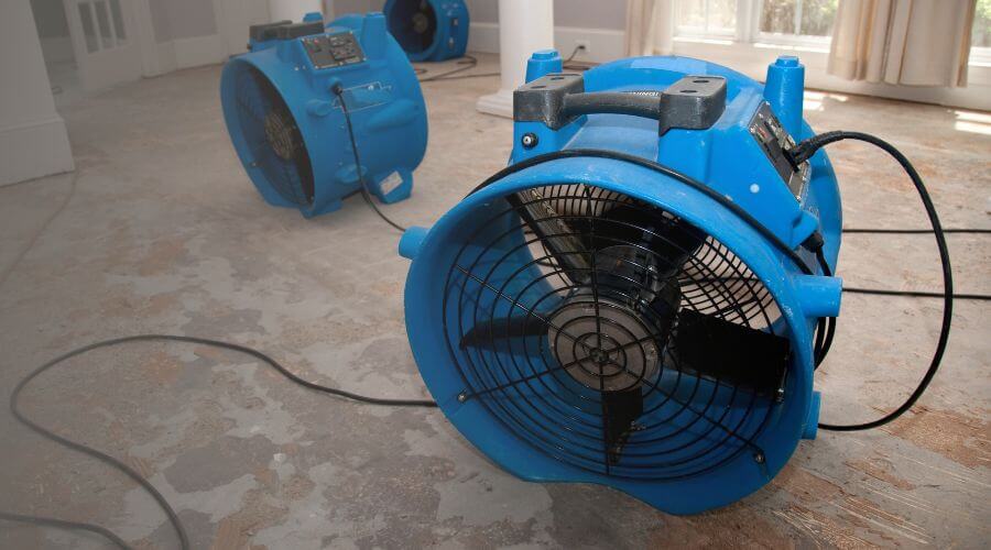 Why choose water damage cleanup for ceiling water damage repair in Wayland